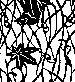 feuille